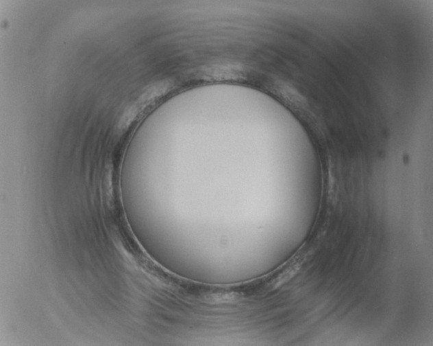 X0000053070202200508011949