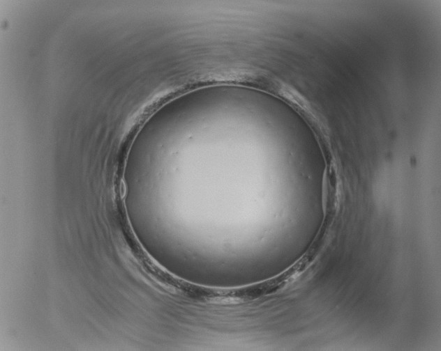 X0000053070203200508011949