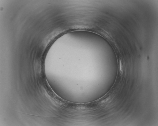 X0000053070204200508011949