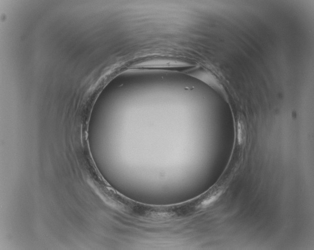 X0000053070205200508011949