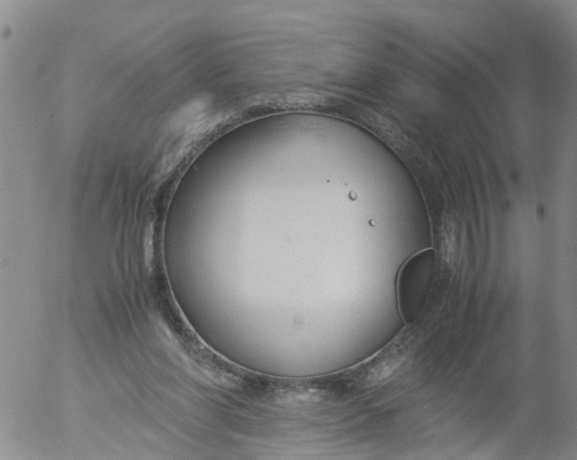 X0000053070206200508011949