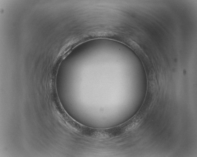 X0000053070207200508011949