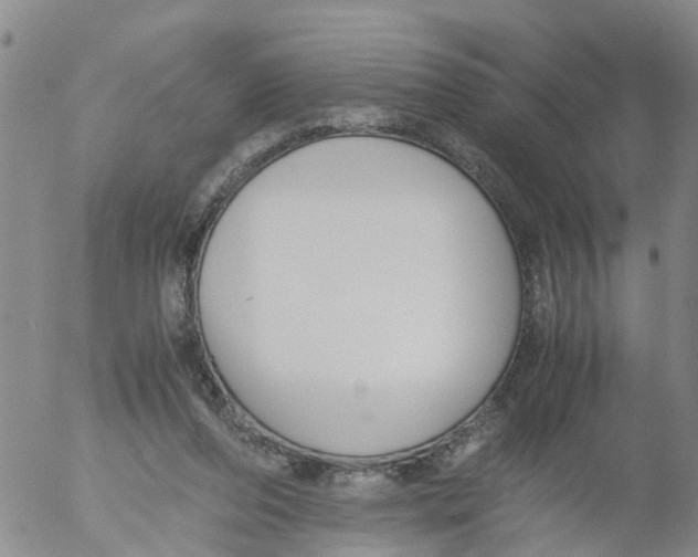 X0000053070208200508011949