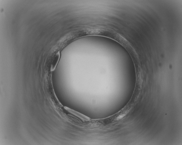 X0000053070209200508011949