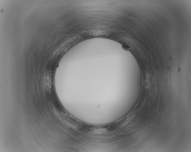 X0000053070210200508011949