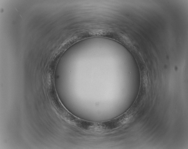 X0000053070211200508011949