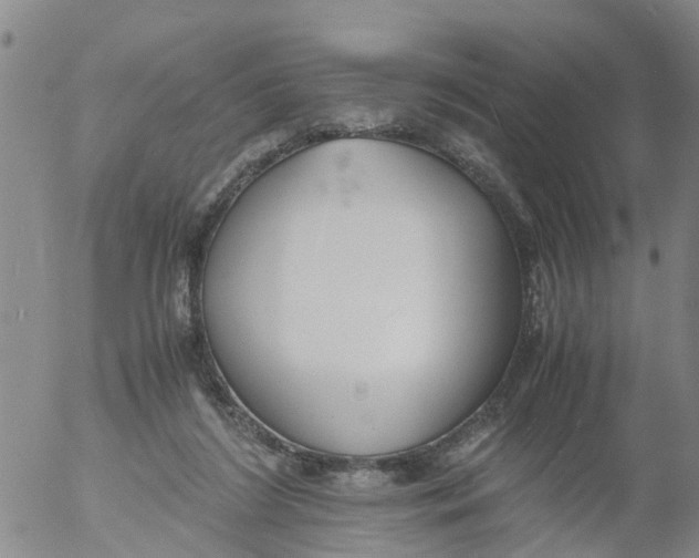 X0000053070212200508011949