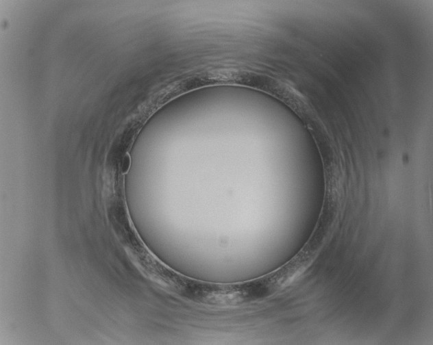 X0000053070213200508011949