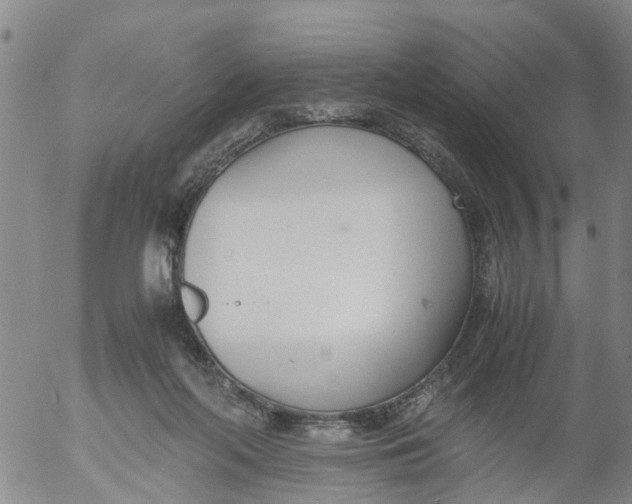 X0000053070214200508011948