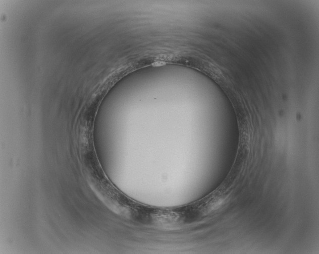 X0000053070215200508011948