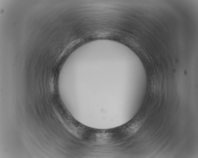 X0000053070216200508011948