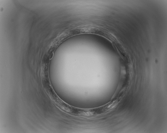 X0000053070217200508011948