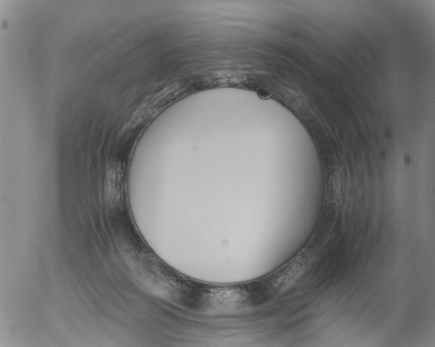 X0000053070218200508011948