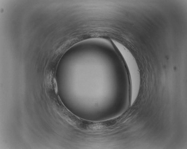 X0000053070219200508011948