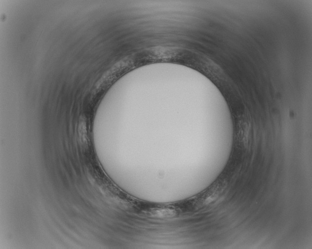 X0000053070220200508011948