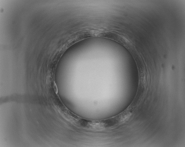 X0000053070221200508011948