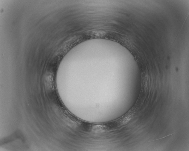 X0000053070222200508011948