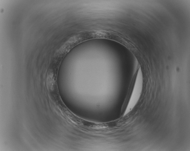 X0000053070223200508011948