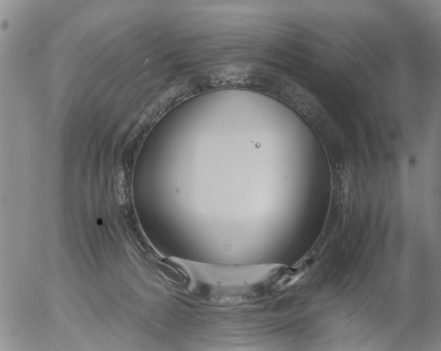 X0000053070224200508011948