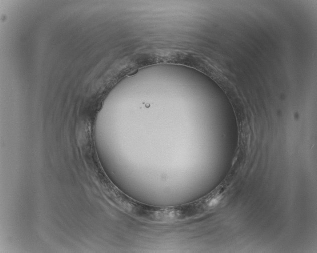 X0000053070225200508011948