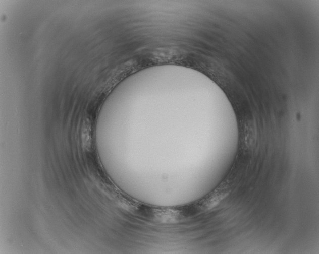 X0000053070226200508011948