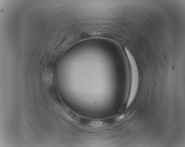 X0000053070227200508011948