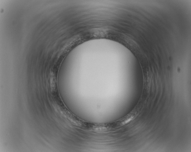 X0000053070228200508011948