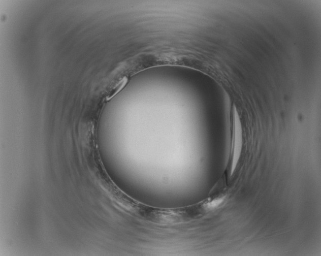 X0000053070229200508011948