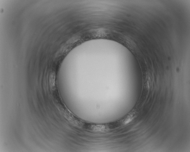 X0000053070230200508011948