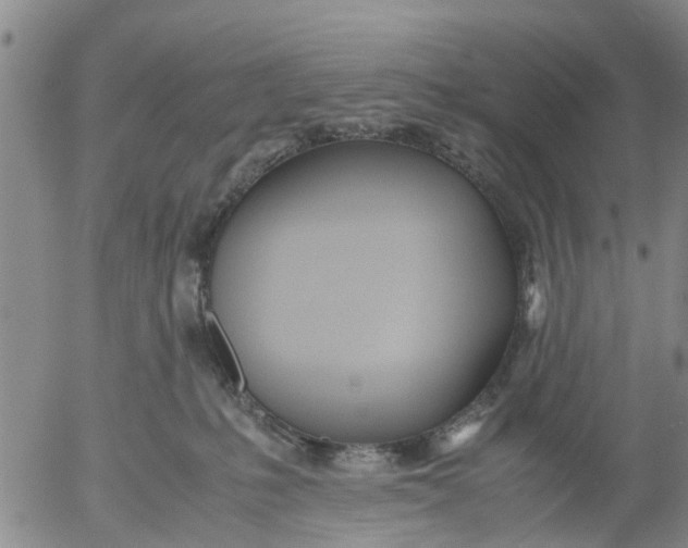 X0000053070231200508011948