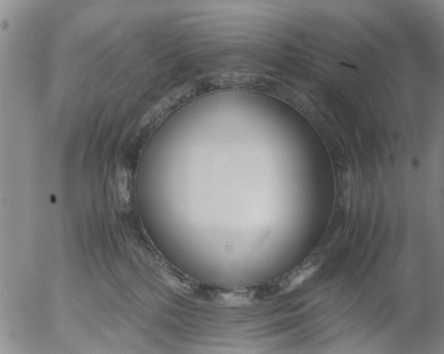 X0000053070232200508011948