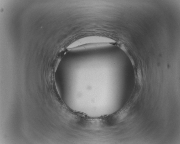 X0000053070233200508011948