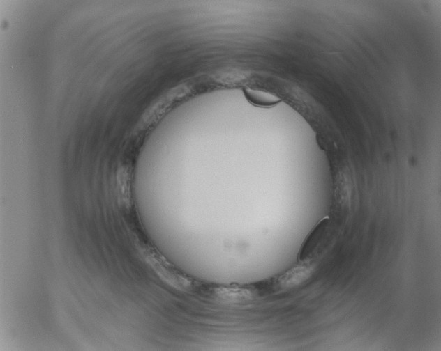 X0000053070234200508011948