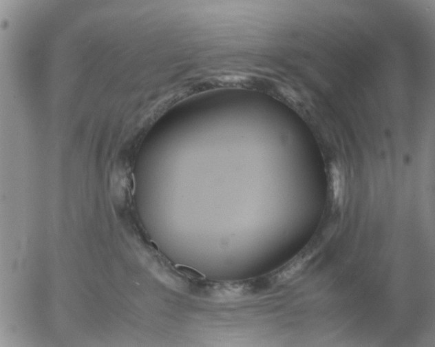 X0000053070235200508011948