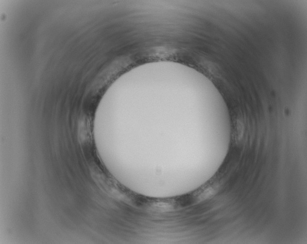 X0000053070236200508011948