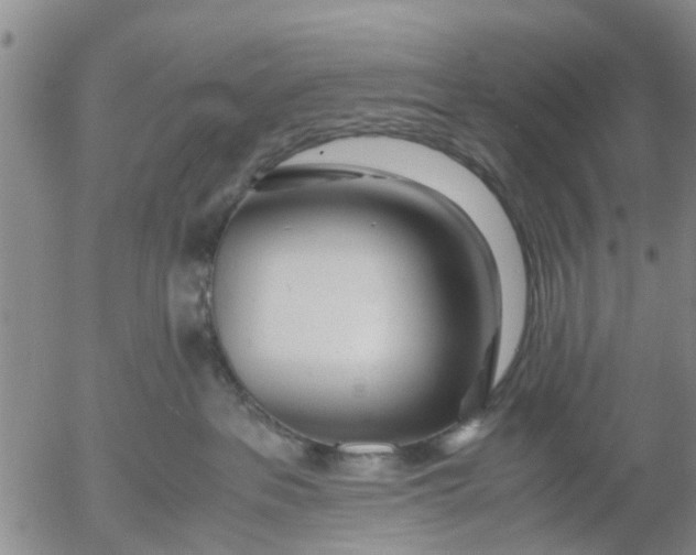 X0000053070237200508011948