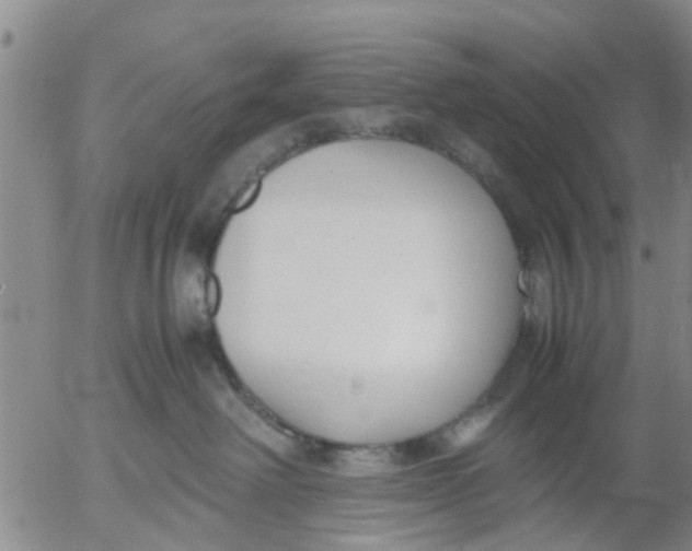 X0000053070238200508011948