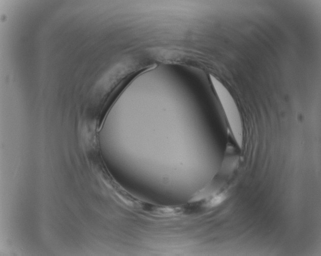 X0000053070239200508011948