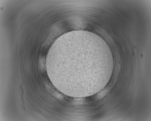 X0000053070240200508011948