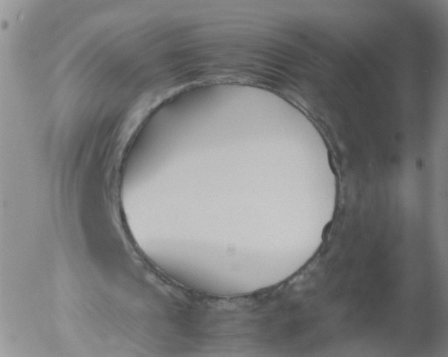 X0000053070241200508011947