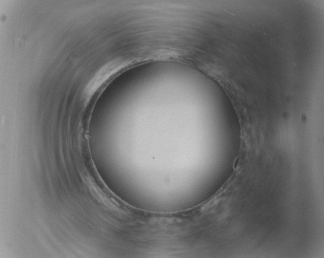 X0000053070242200508011947