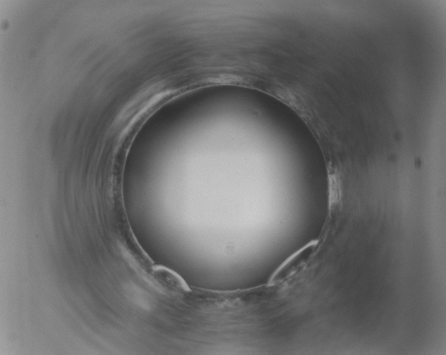 X0000053070243200508011947