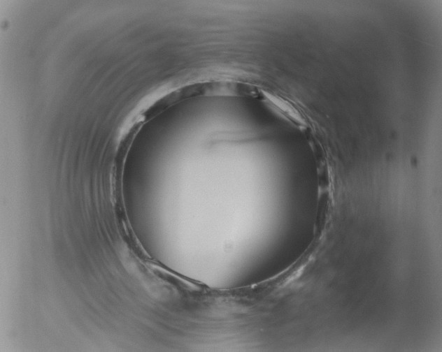 X0000053070244200508011947