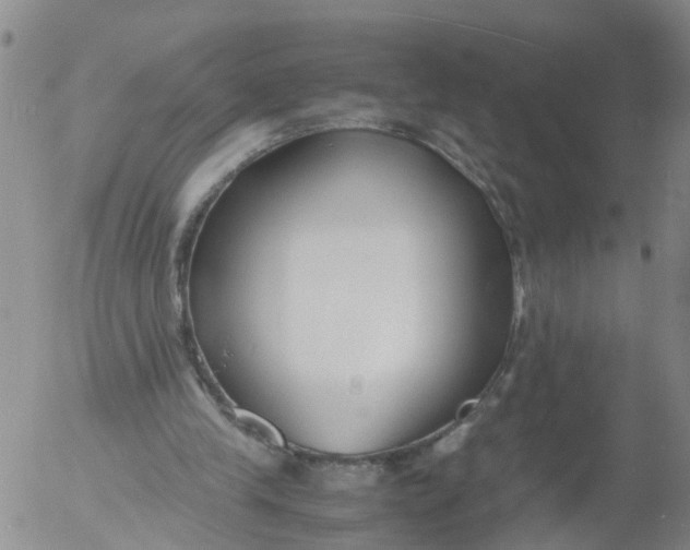 X0000053070245200508011947