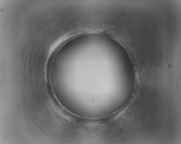 X0000053070246200508011947