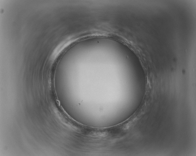 X0000053070247200508011947