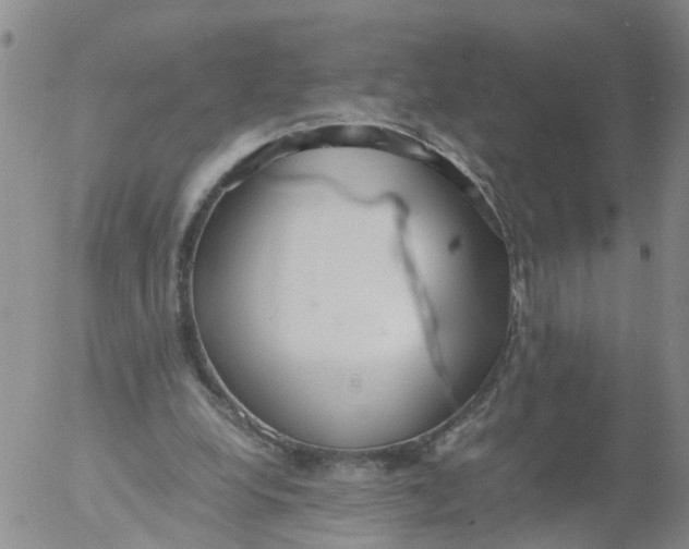 X0000053070248200508011947