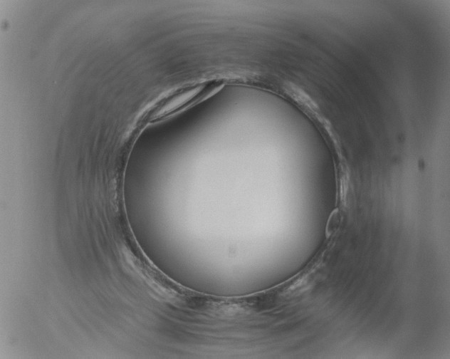 X0000053070249200508011947