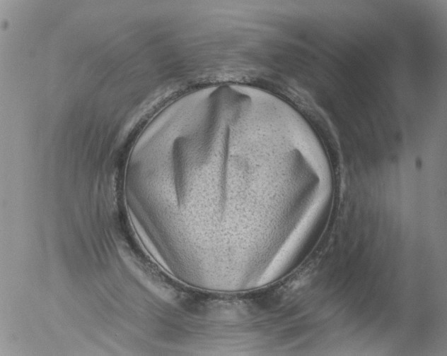 X0000053070250200508011947