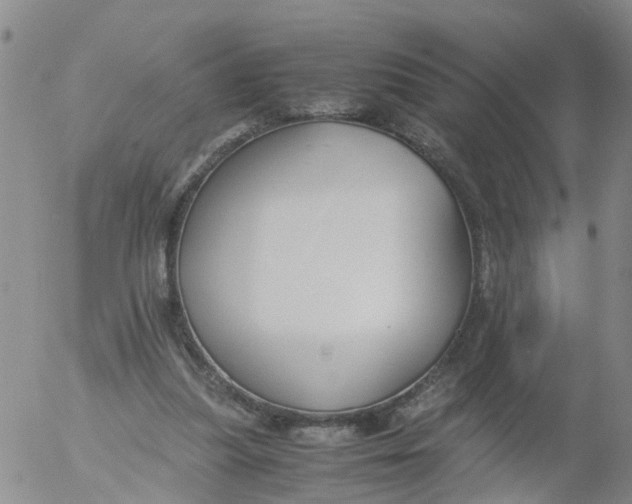 X0000053070251200508011947